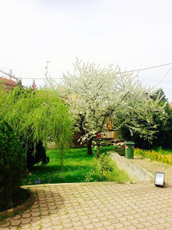 I Ciliegi Apartment Moncalieri Exterior photo